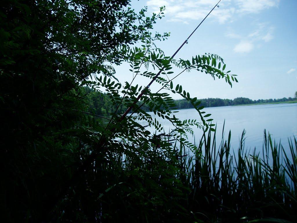 Барди з panoramio.com - Барди