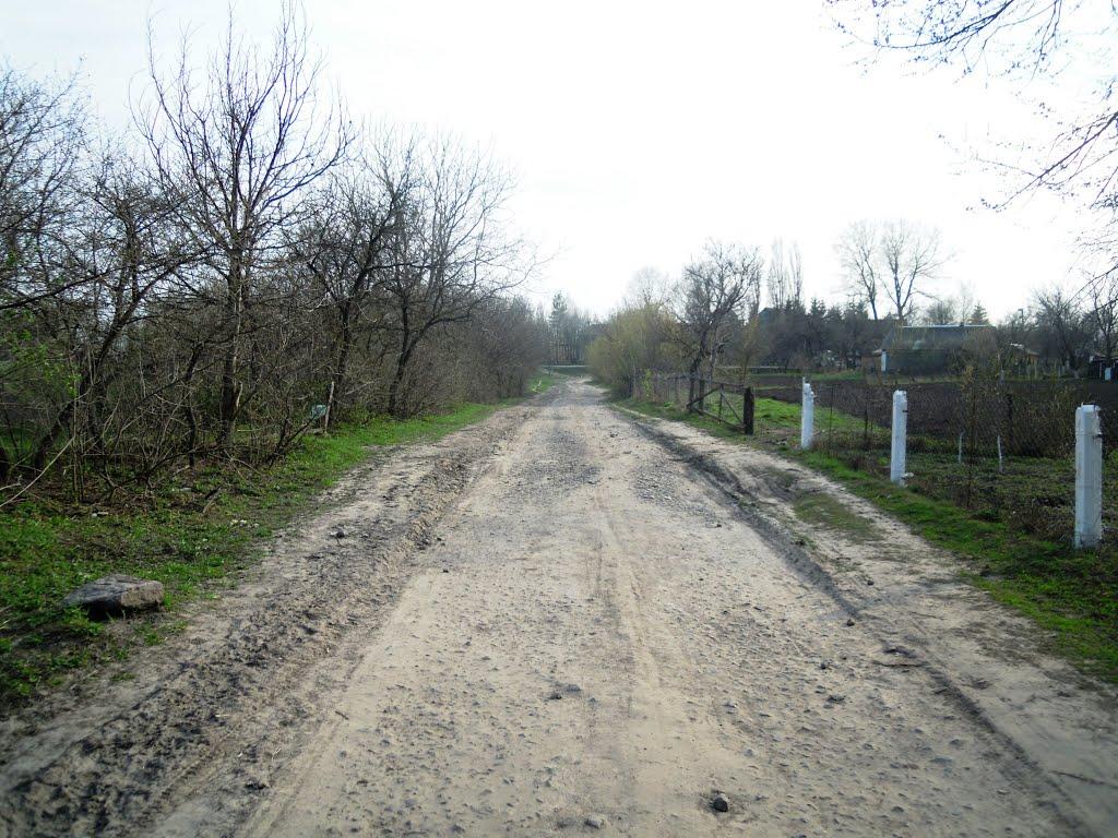 Сальниця з panoramio.com - Сальниця