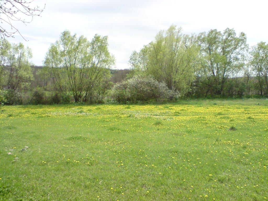 Немирівське з panoramio.com - Немировское