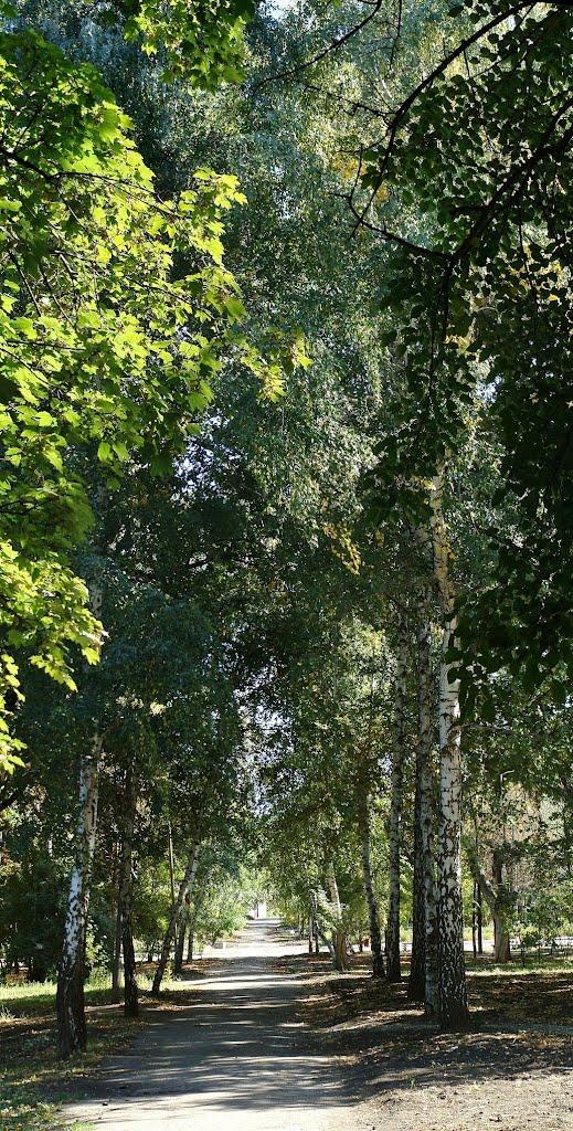 Харцизьк з panoramio.com - Харцызск