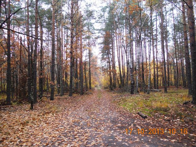 Бондарня з panoramio.com - Бондарня