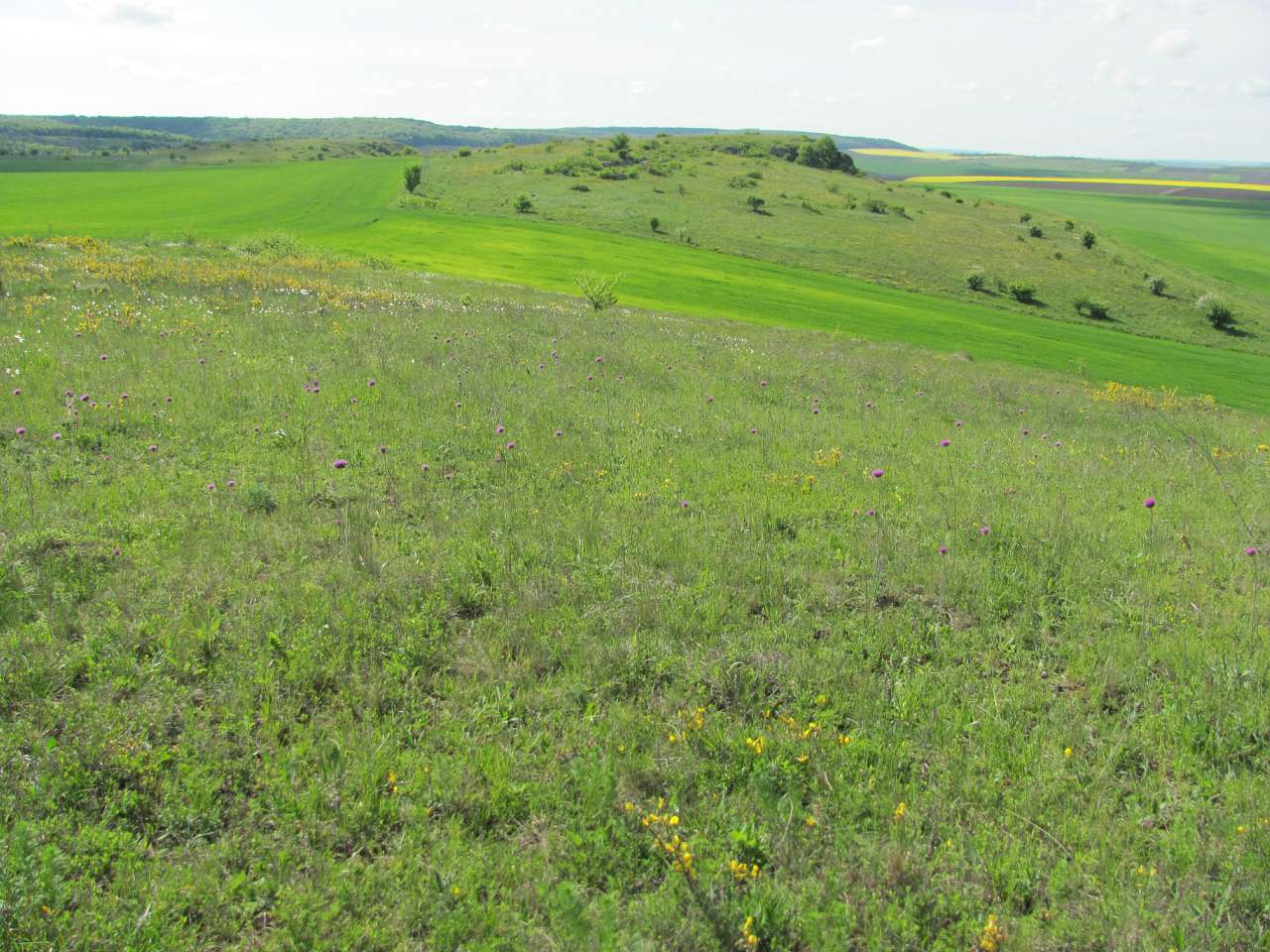 природа - Gorodnytsya