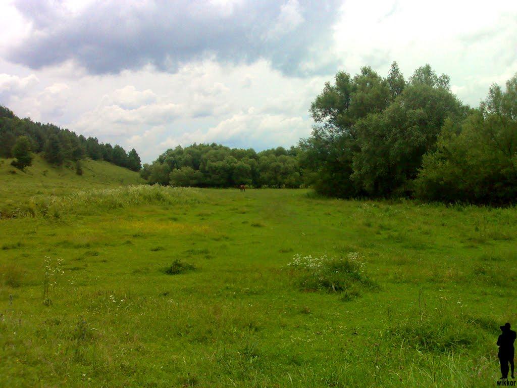 Вихрівка з panoramio.com - Вихрівка