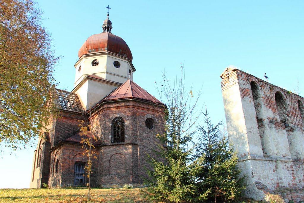 Биків з panoramio.com - Быков