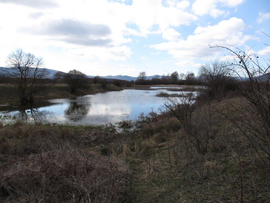 Новобобрівське з panoramio.com - Новобобрівське