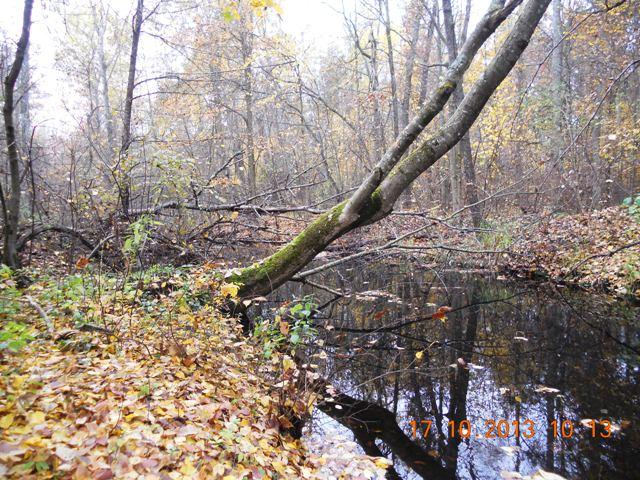 Бондарня з panoramio.com - Бондарня