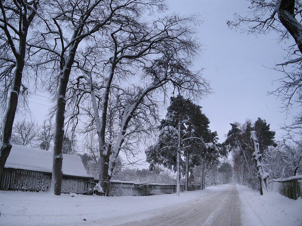 Немішаєве з panoramio.com - Немішаєве