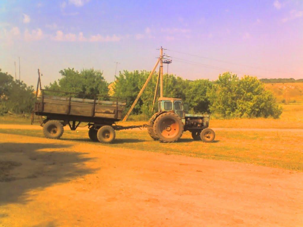 Велика Чернігівка з panoramio.com - Велика Чернігівка