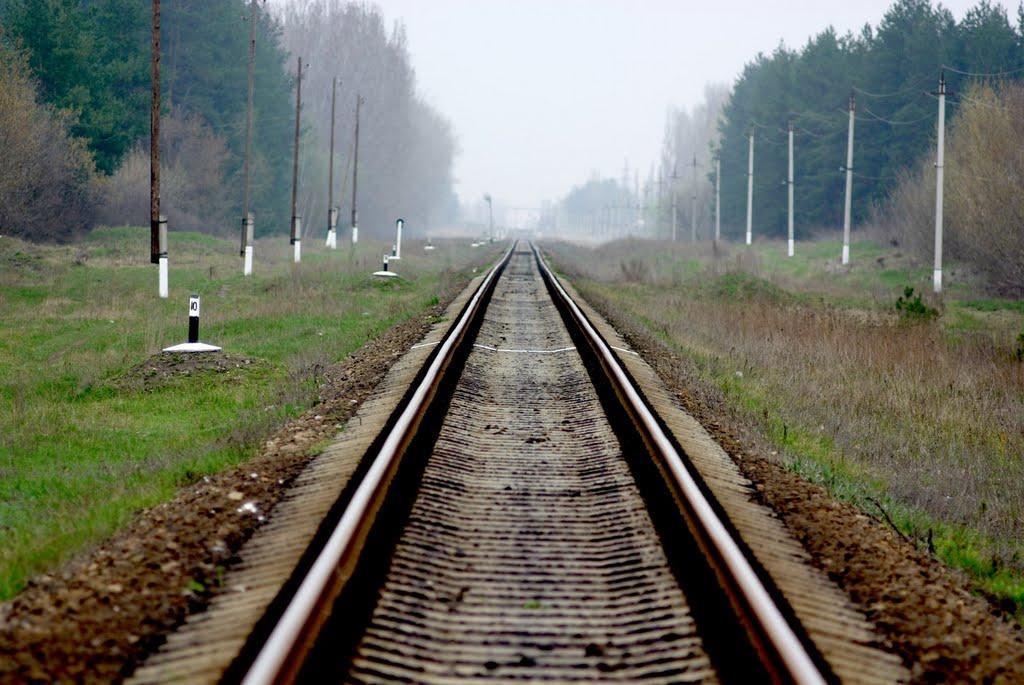 Половинкине з panoramio.com - Половинкине