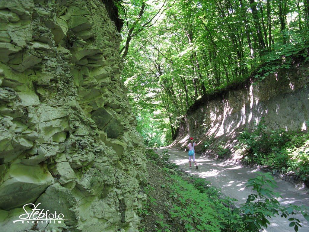 Бовшів з panoramio.com - Бовшов