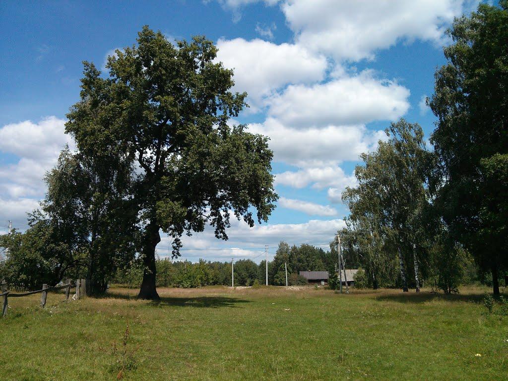 Невір з panoramio.com - Невир