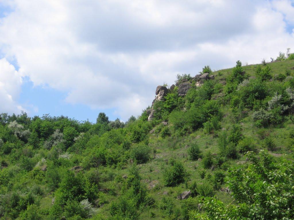 Загнітків з panoramio.com - Загнітків