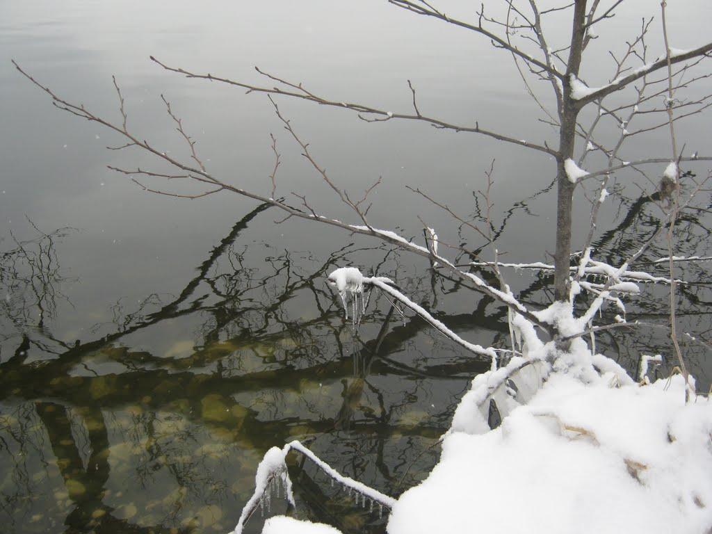 Бурштин з panoramio.com - Burshtyn