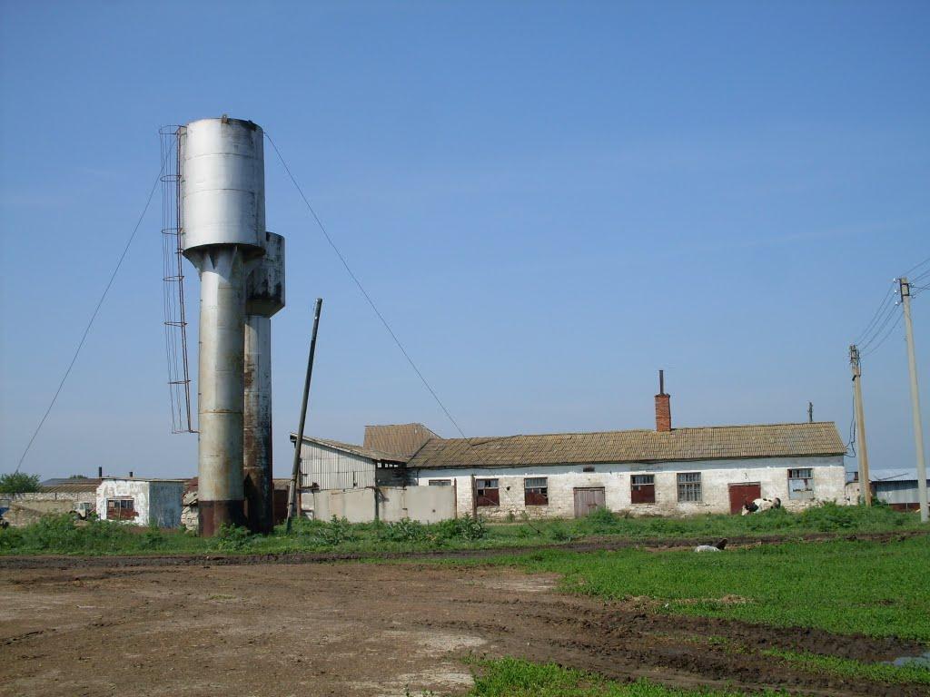 Слов'яносербка з panoramio.com - Слов'яносербка