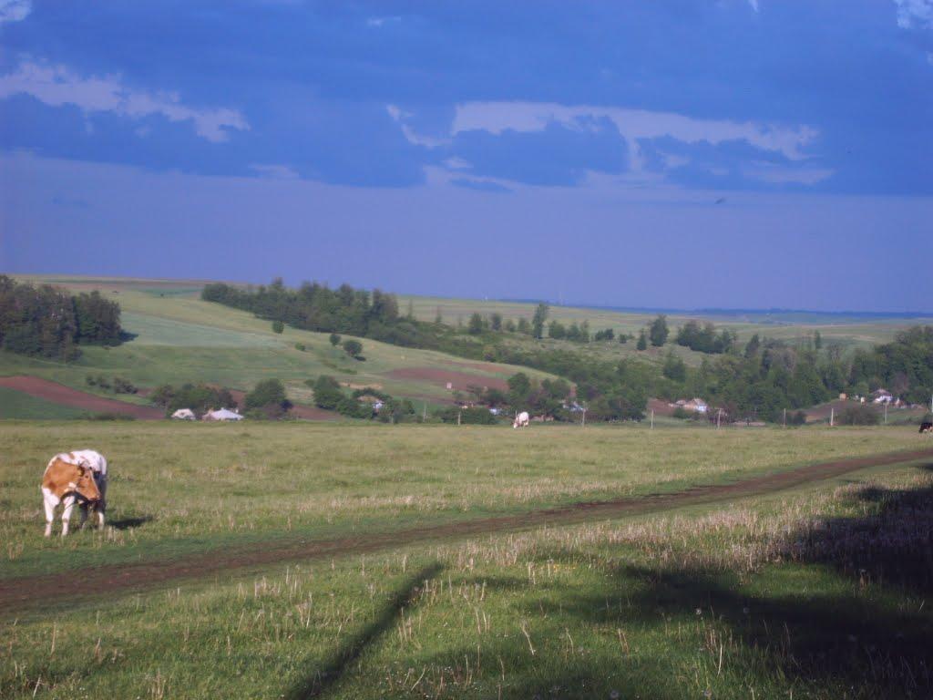 Дяківці з panoramio.com - Дьяковцы