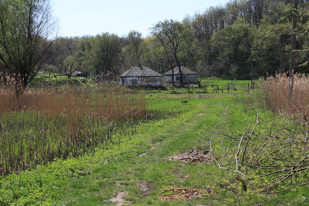 Загородище з panoramio.com - Загородище