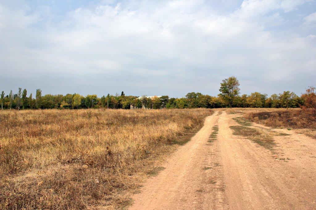 Ленінське з panoramio.com - Ленинское