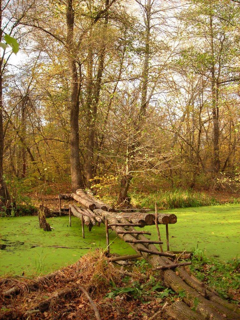 Есхар з panoramio.com - Эсхар