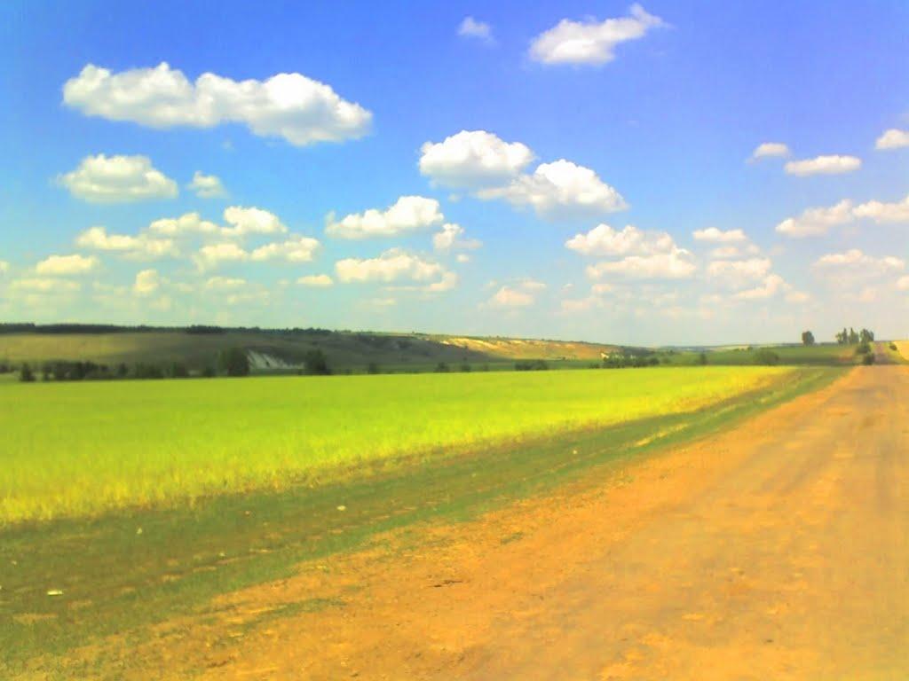 Велика Чернігівка з panoramio.com - Велика Чернігівка