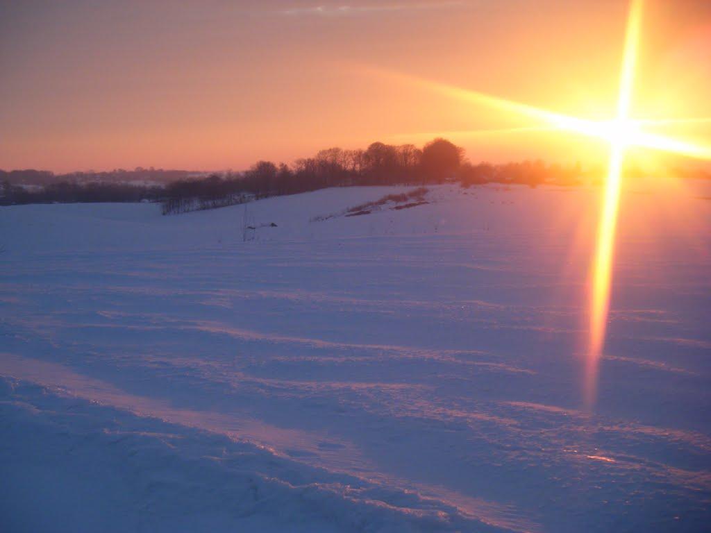 Тарасівці з panoramio.com - Тарасівці