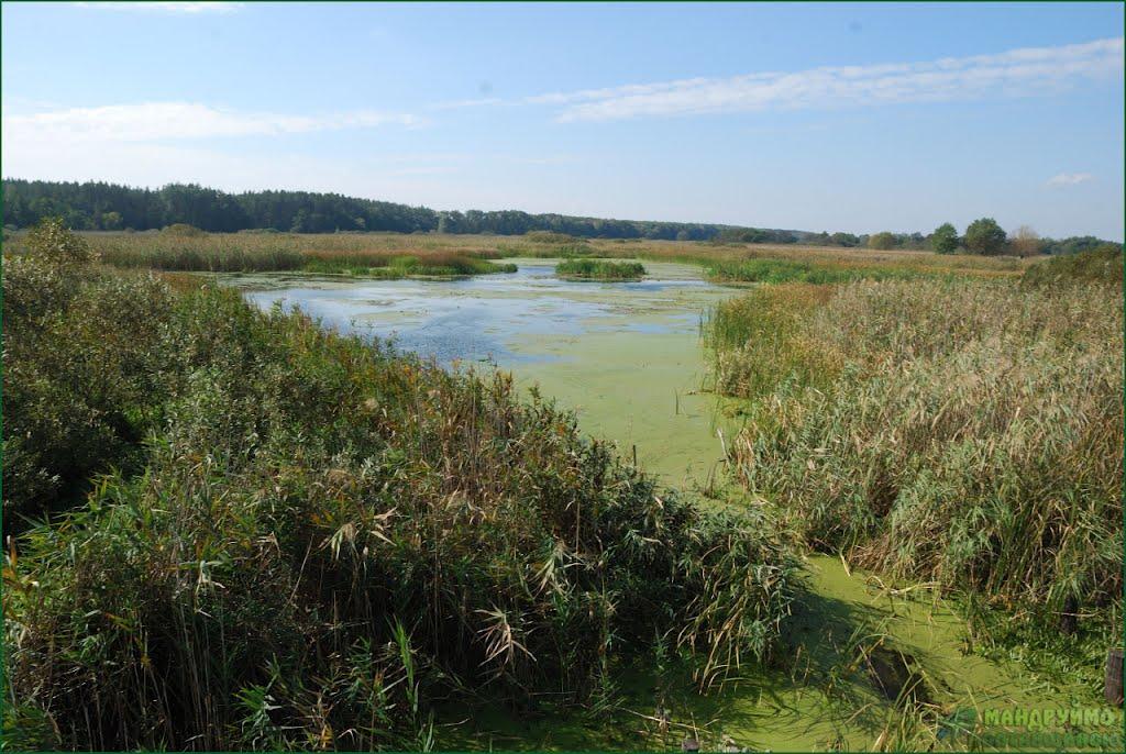 Каплинці з panoramio.com - Каплинці