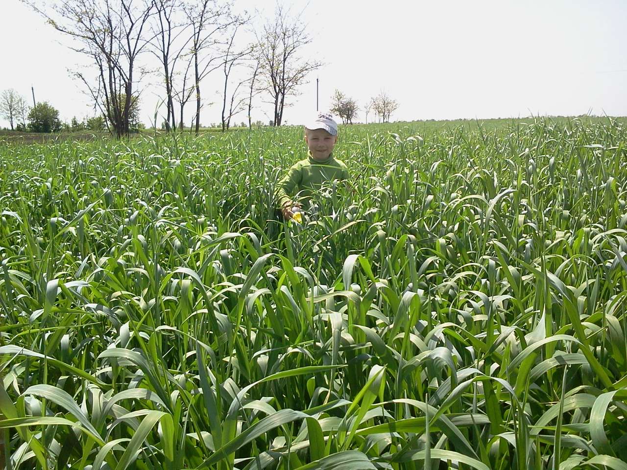 мої фото 2 - Бурилове