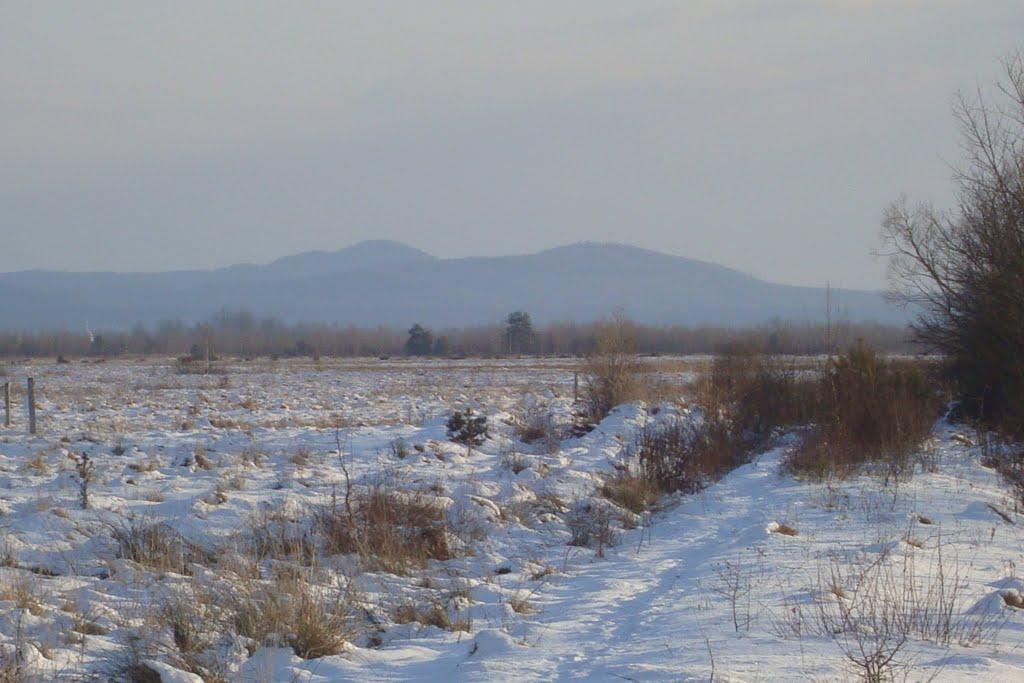 Ценява з panoramio.com - Ценява