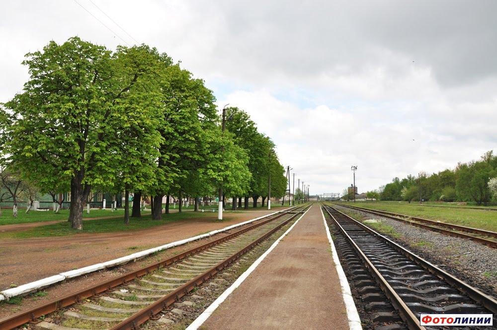 Камінь-Каширський з panoramio.com - Камінь-Каширський