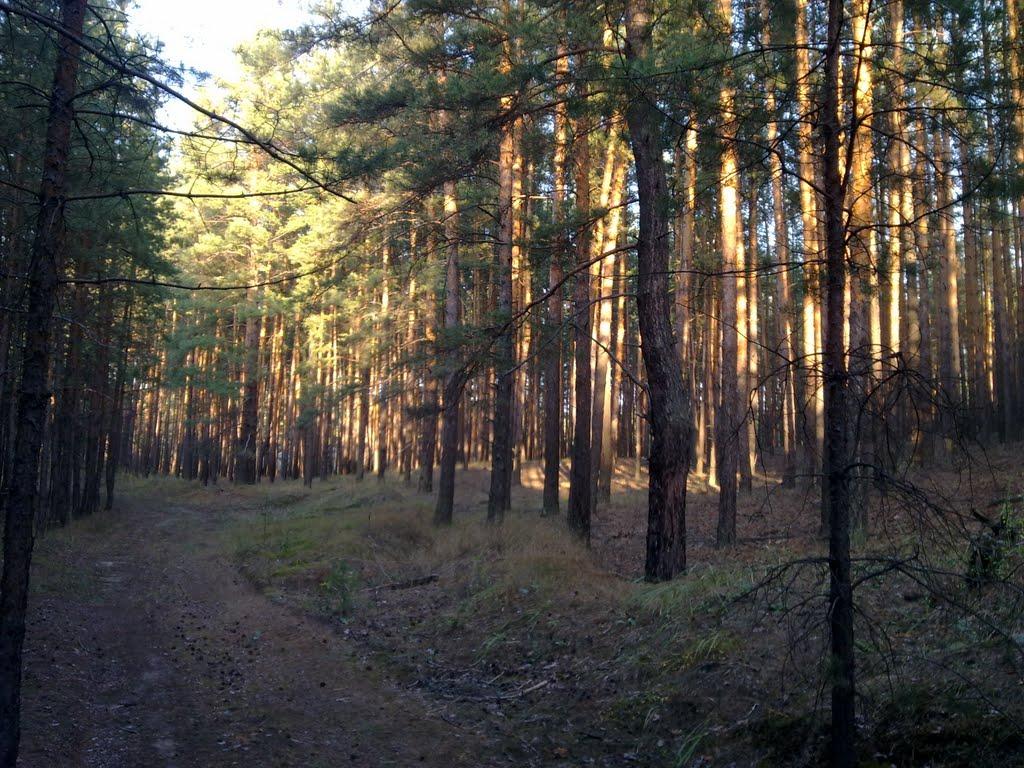 Студенок з panoramio.com - Студенок