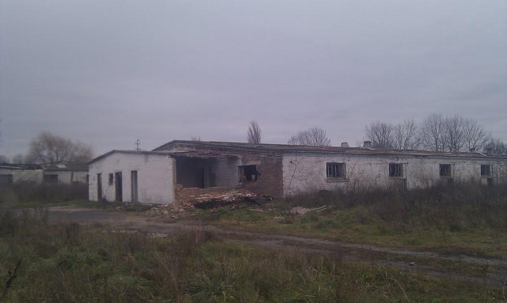 Горбаків з panoramio.com - Горбаків