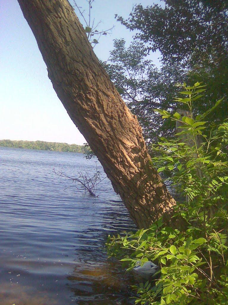 Розумівка з panoramio.com - Розумівка