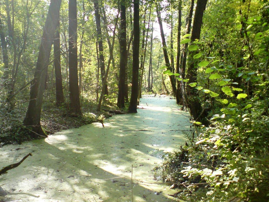 Карабазівка з panoramio.com - Карабазівка