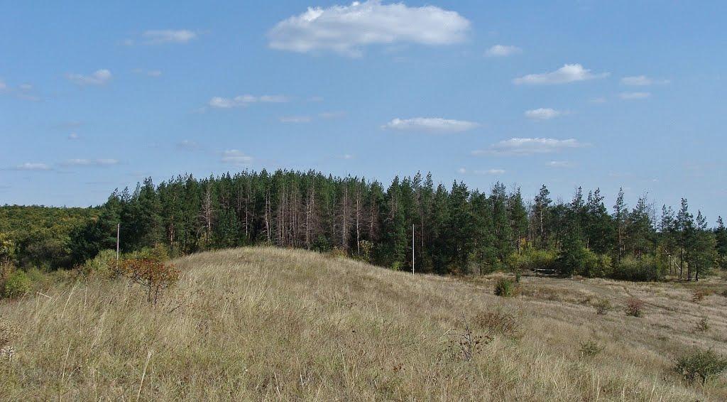 Новоклинівка з panoramio.com - Новоклиновка