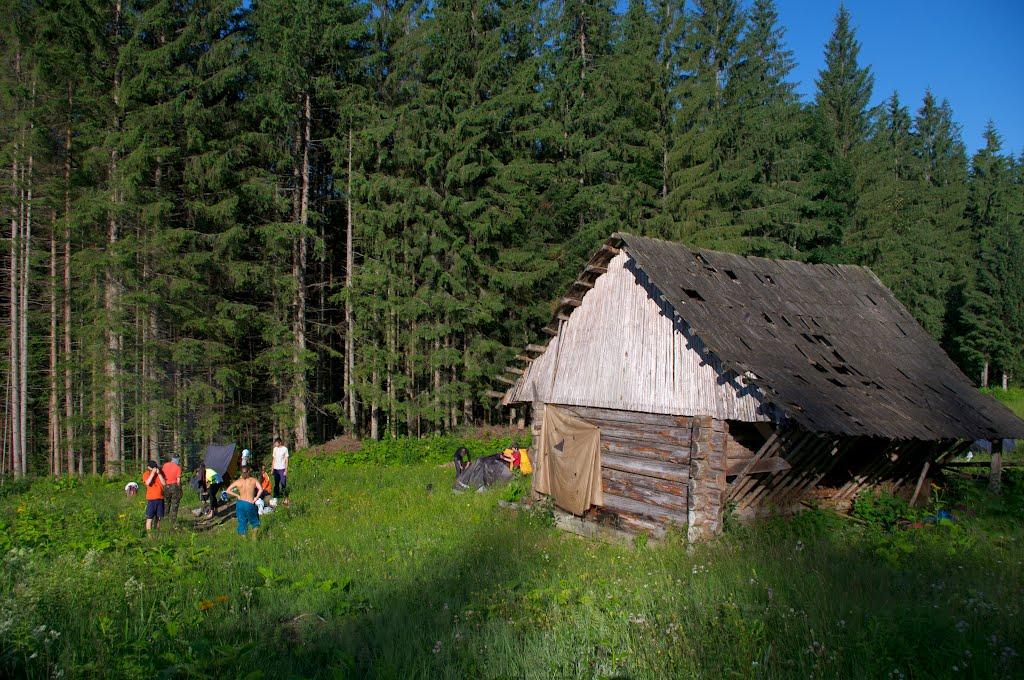 Чорна Тиса з panoramio.com - Черная Тиса