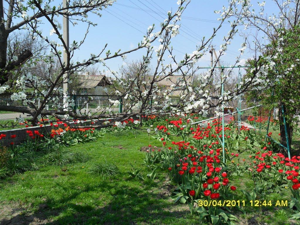 Кірове з panoramio.com - Кірове