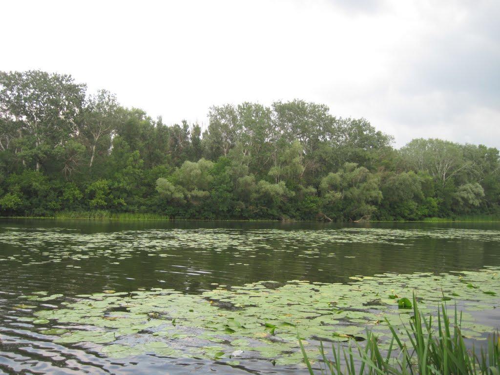 Потоки з panoramio.com - Потоки