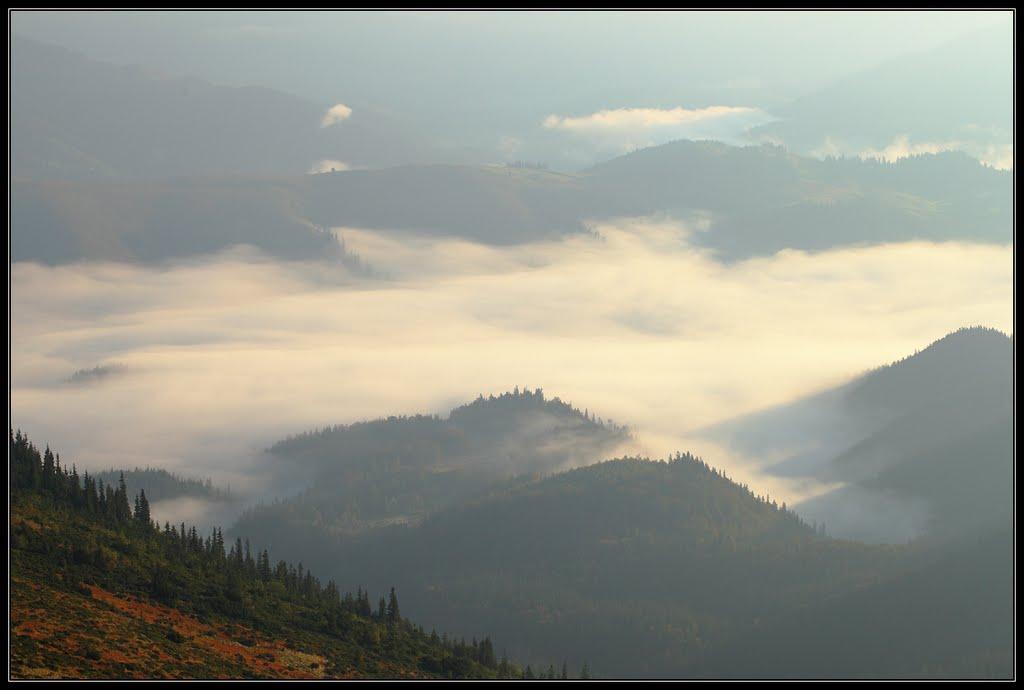 Берестечко з panoramio.com (ч.2) - Berestechko