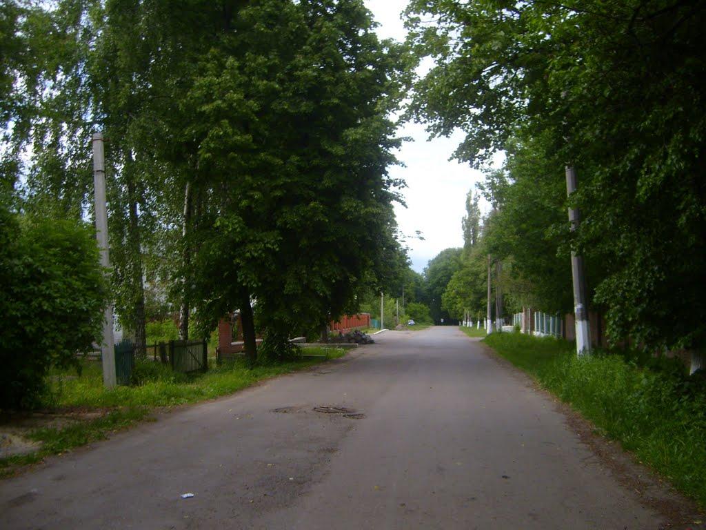 Знам'янка з panoramio.com - Знам'янка