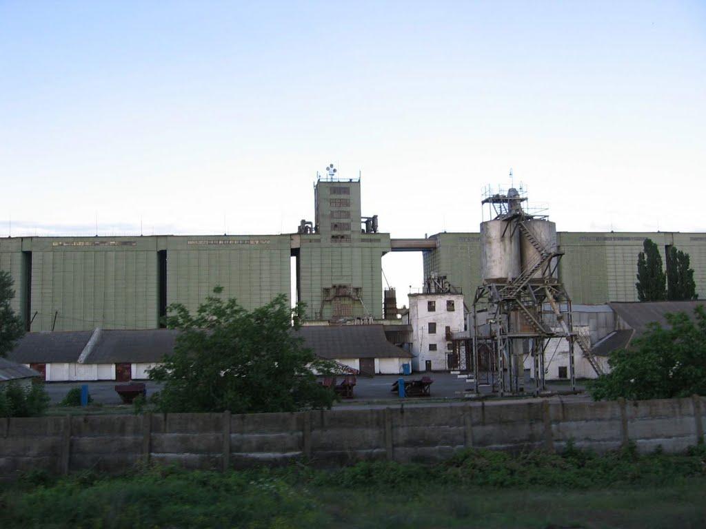 Кавуни з panoramio.com - Кавуни