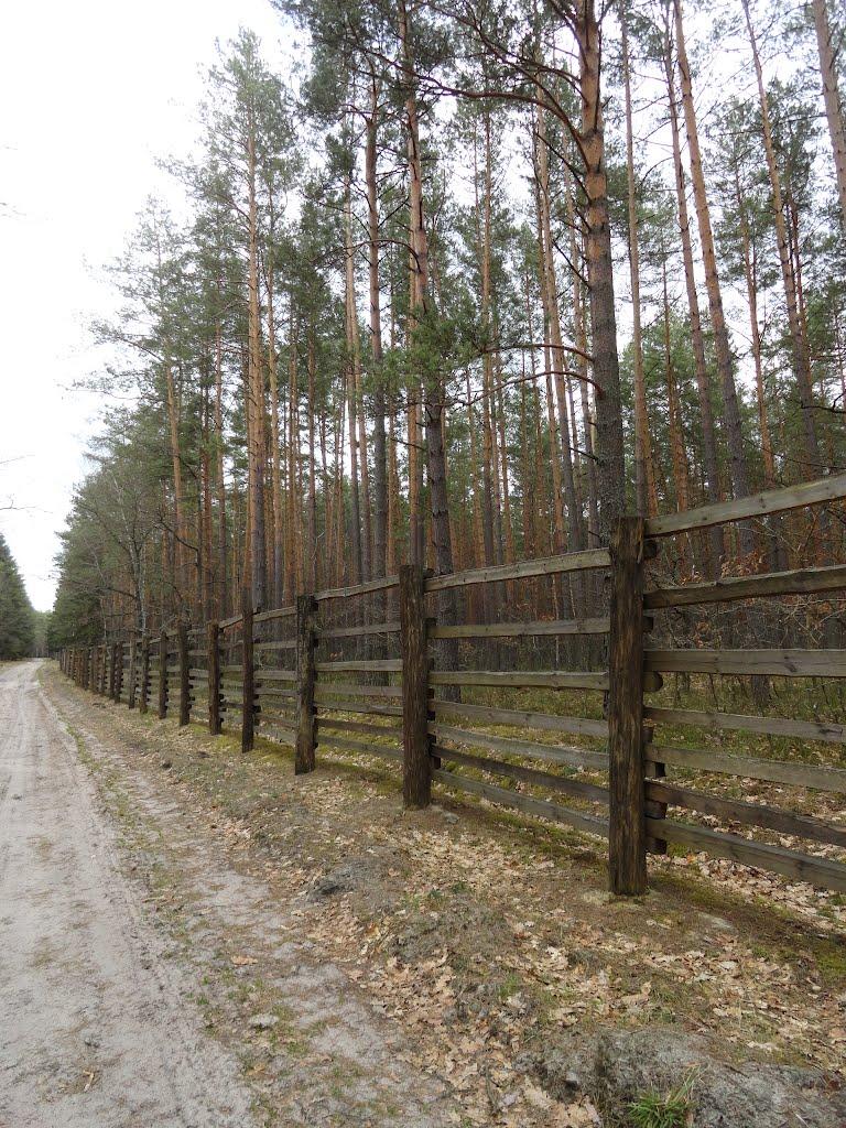 Котів з panoramio.com - Котов