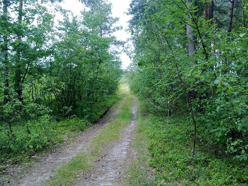 Острог з panoramio.com - Острог