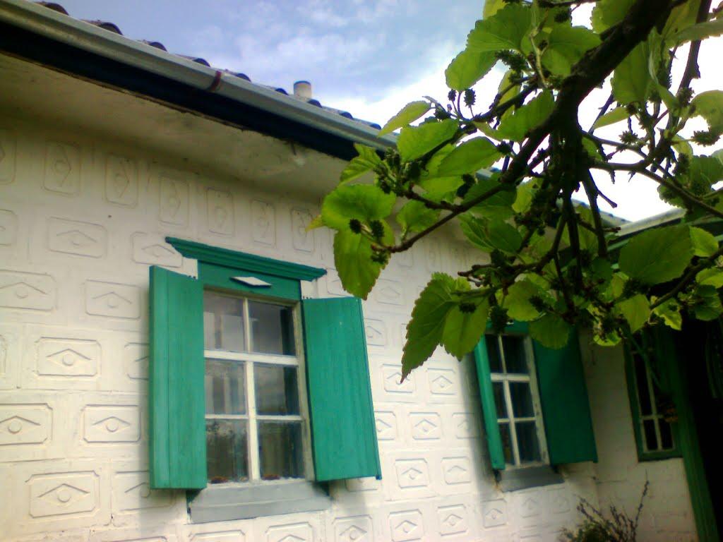 Куцеволівка з panoramio.com - Куцеволівка