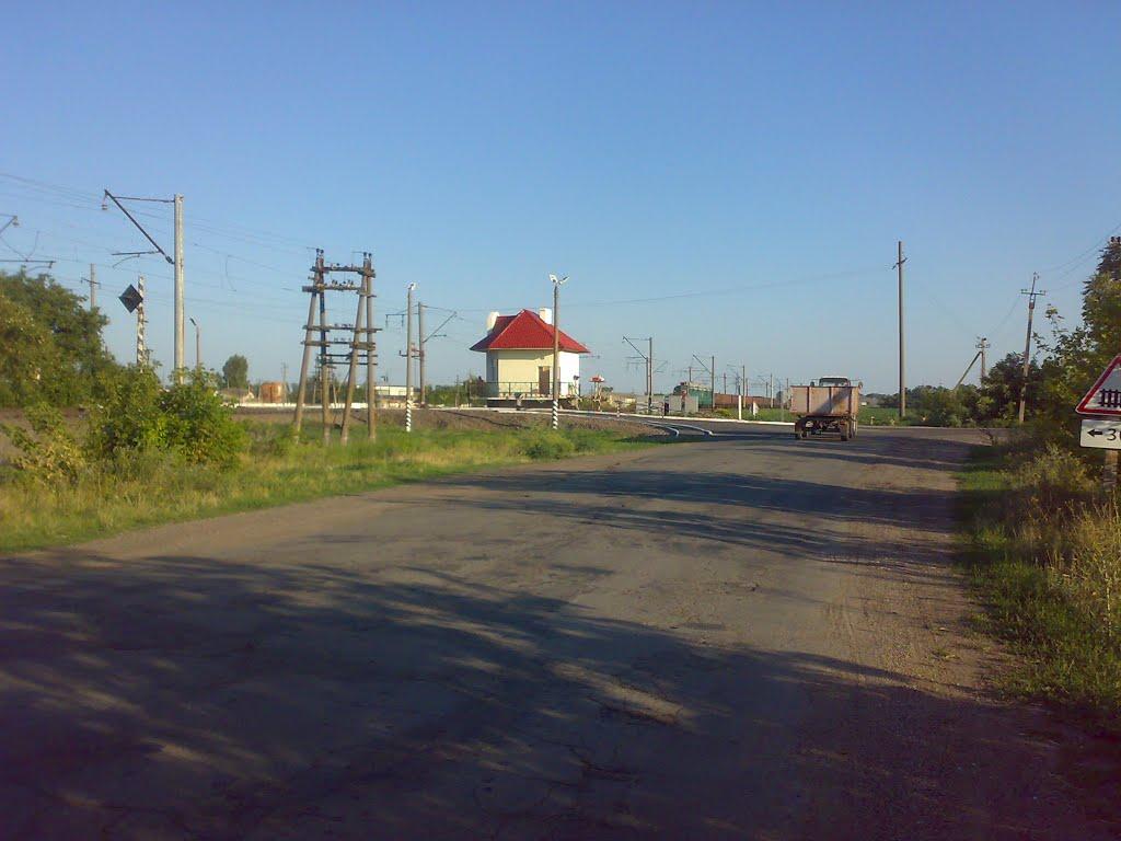 Кавуни з panoramio.com - Кавуни