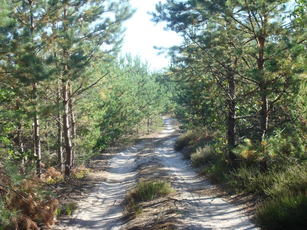 Бондарня з panoramio.com - Бондарня