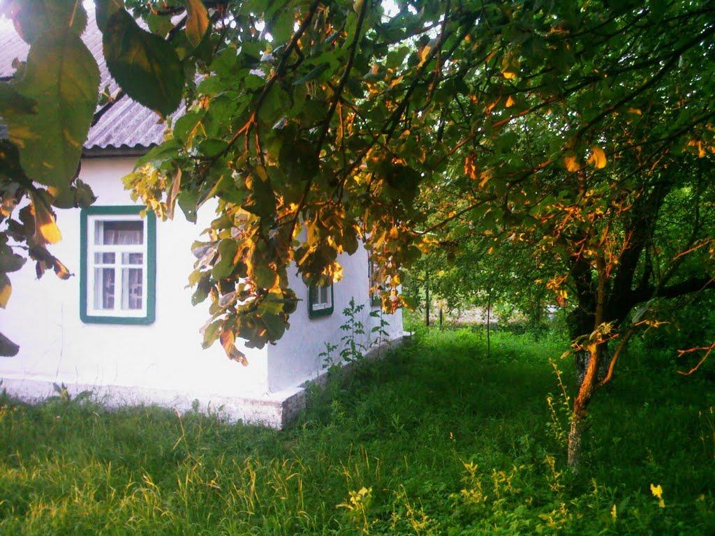 Меченки з panoramio.com - Меченки