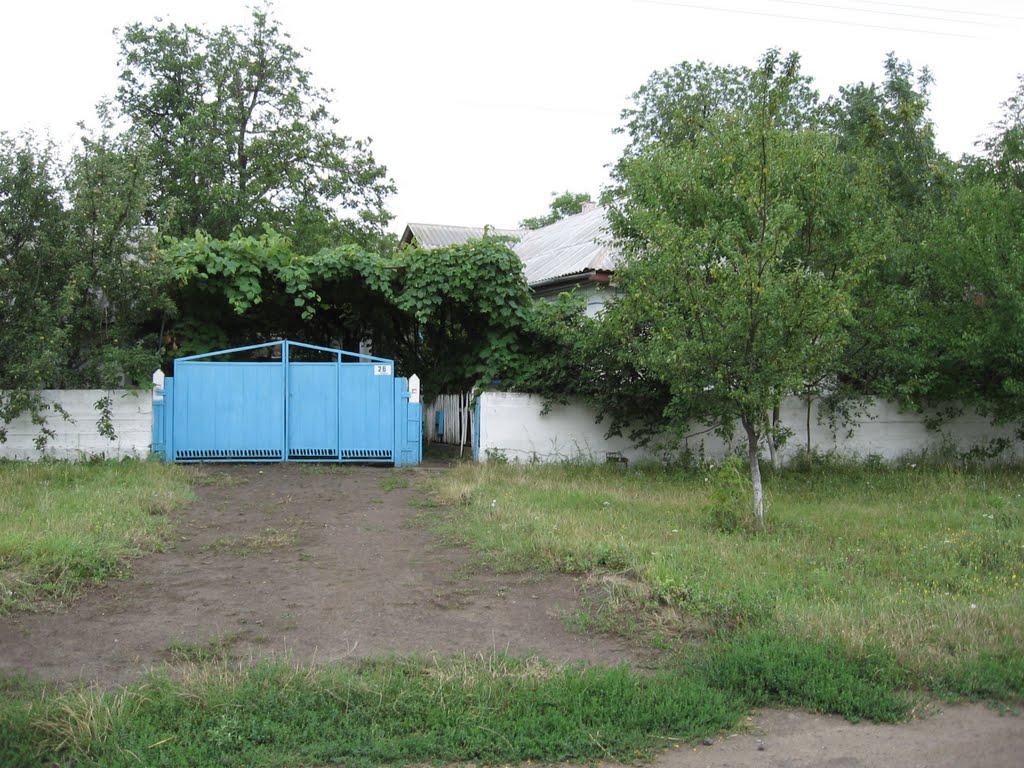 Казавчин з panoramio.com - Казавчин