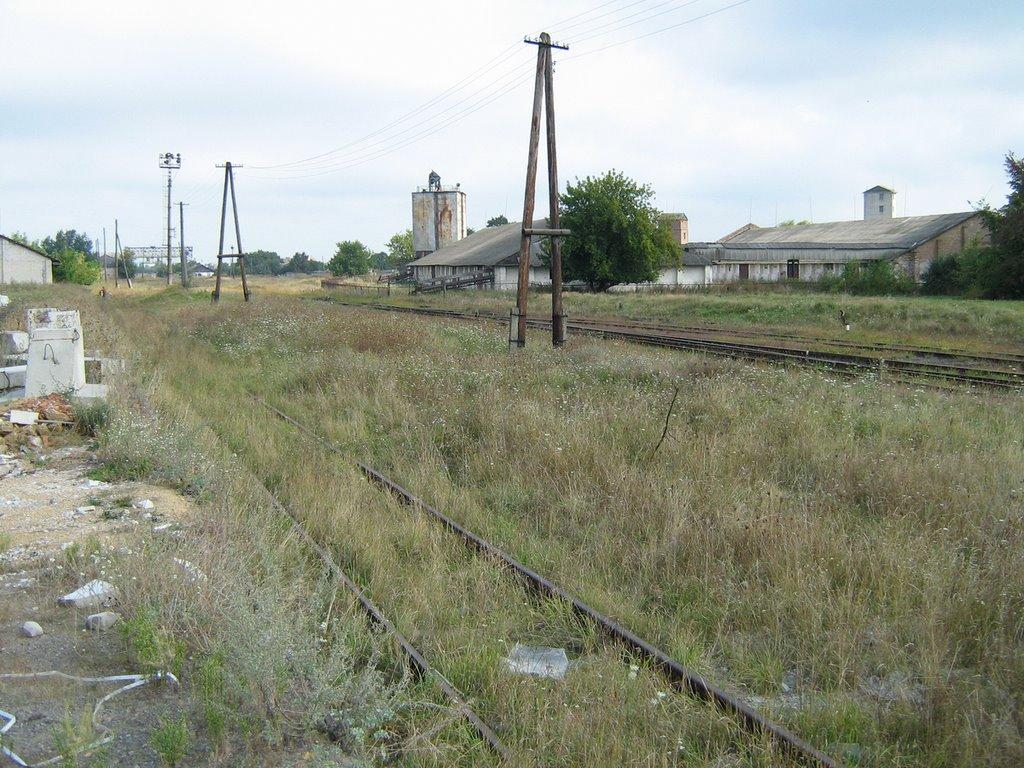 Камінь-Каширський з panoramio.com - Камінь-Каширський