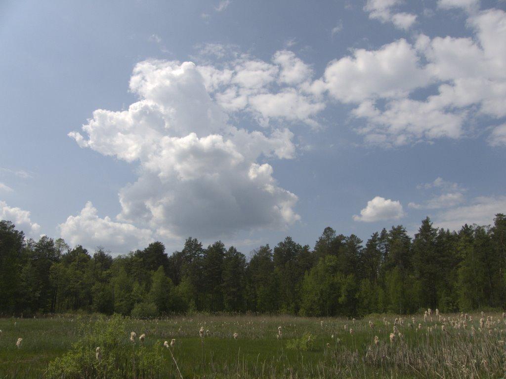 Діброво-Ленінське з panoramio.com - Dibrovo-Leninske