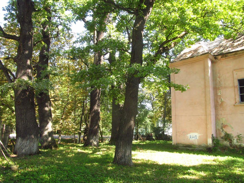Солотвин з panoramio.com - Солотвин