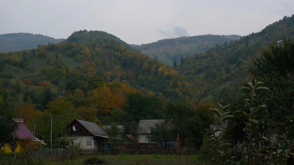 Косівська Поляна з panoramio.com - Kosivska Polyana